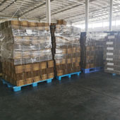 Wrapped cartons stacked on pallets for dispatch